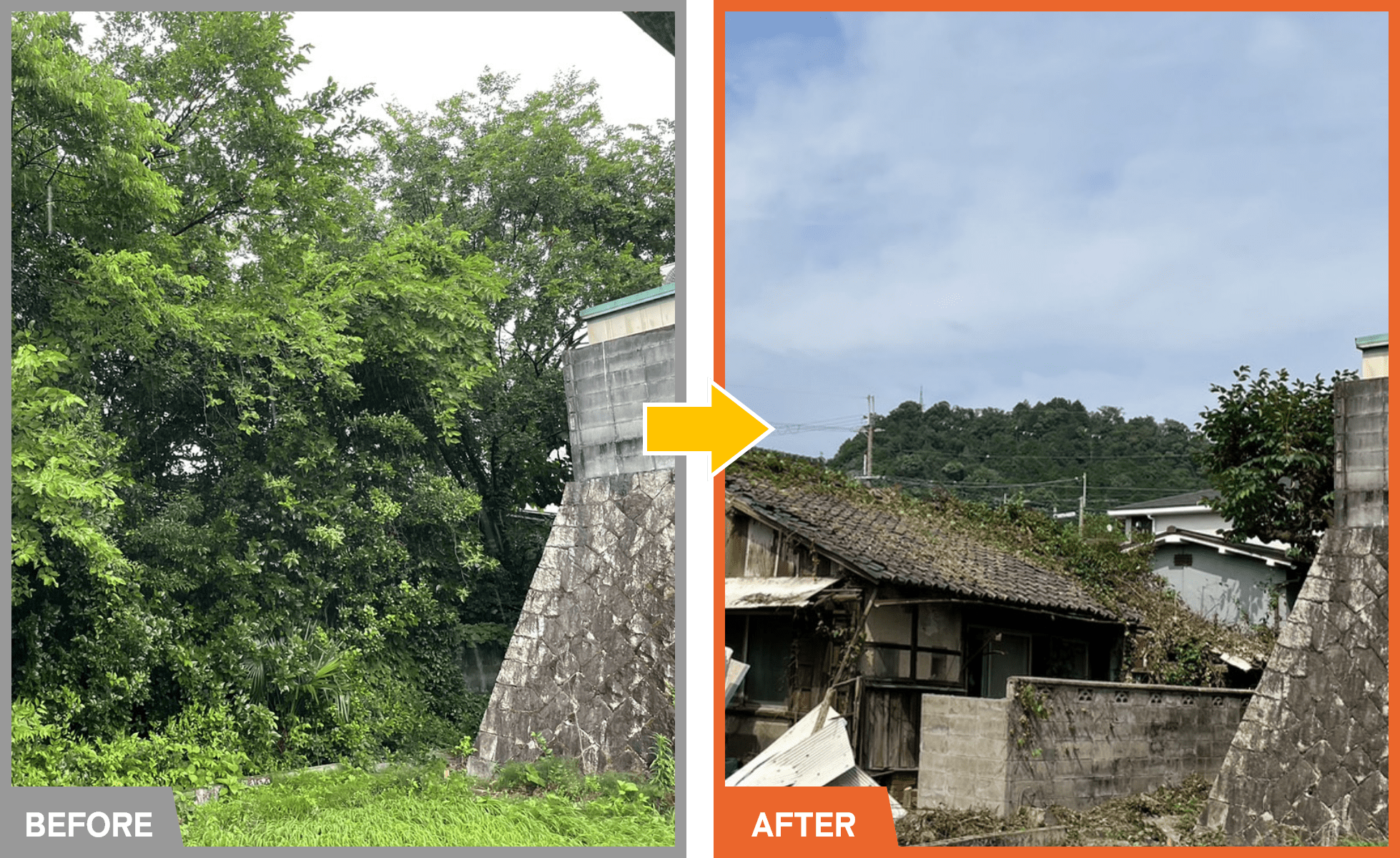 様々な樹木が密集した空き家の伐採