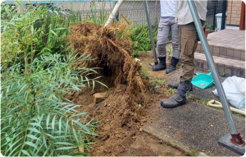 樹木の伐採除草を行い更地