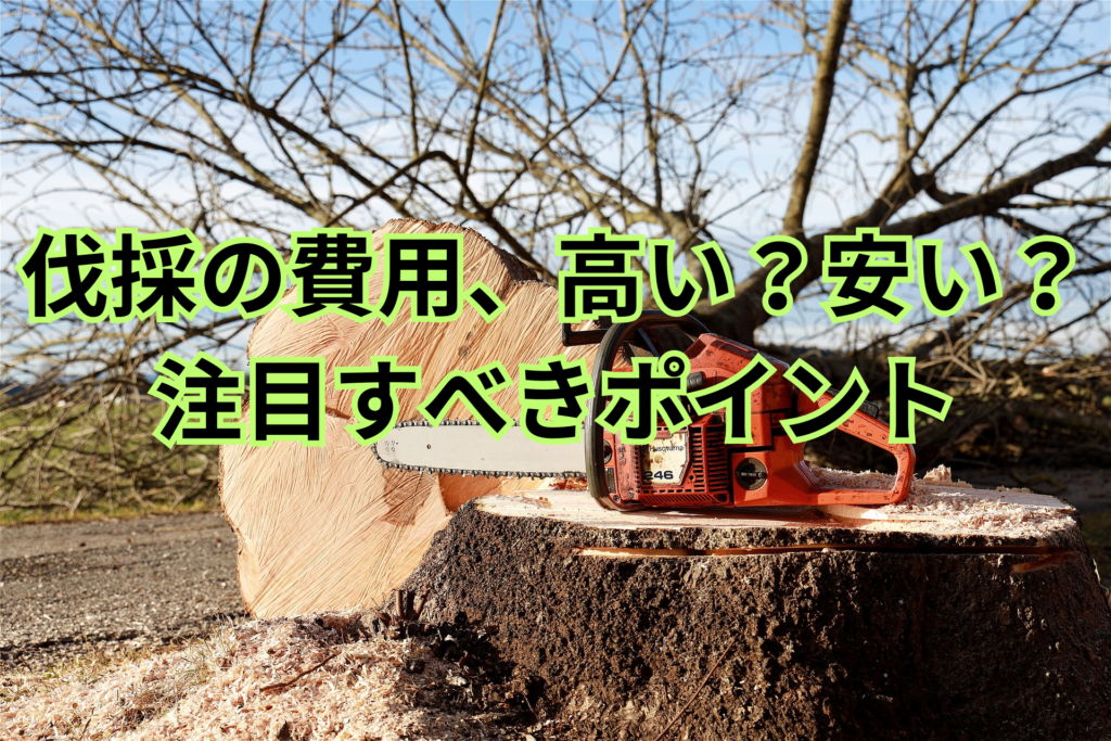 伐採費用の相場は?高い・安いを決める5つのポイント|プロが解説