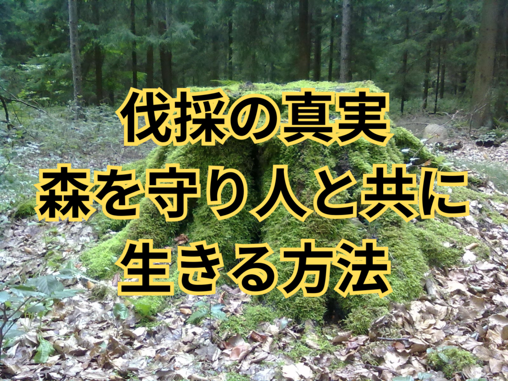 “伐採の真実：森を守り人と共に生きる方法”