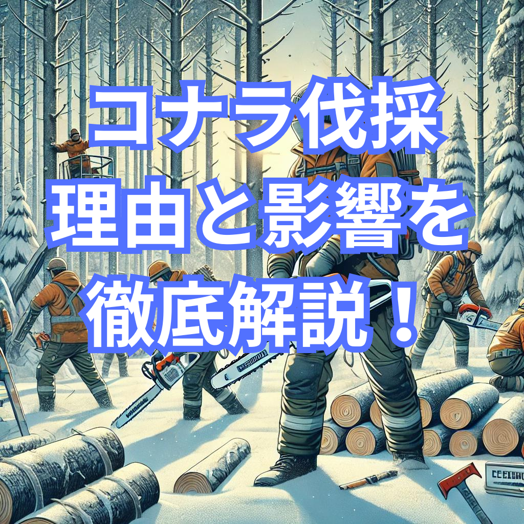 コナラ伐採：理由と影響を徹底解説！