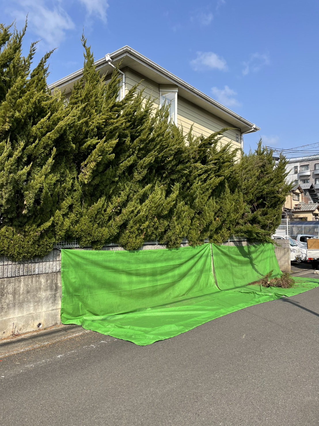寝屋川市 生垣伐採：株式会社ENISIAの生垣伐採作業レポート