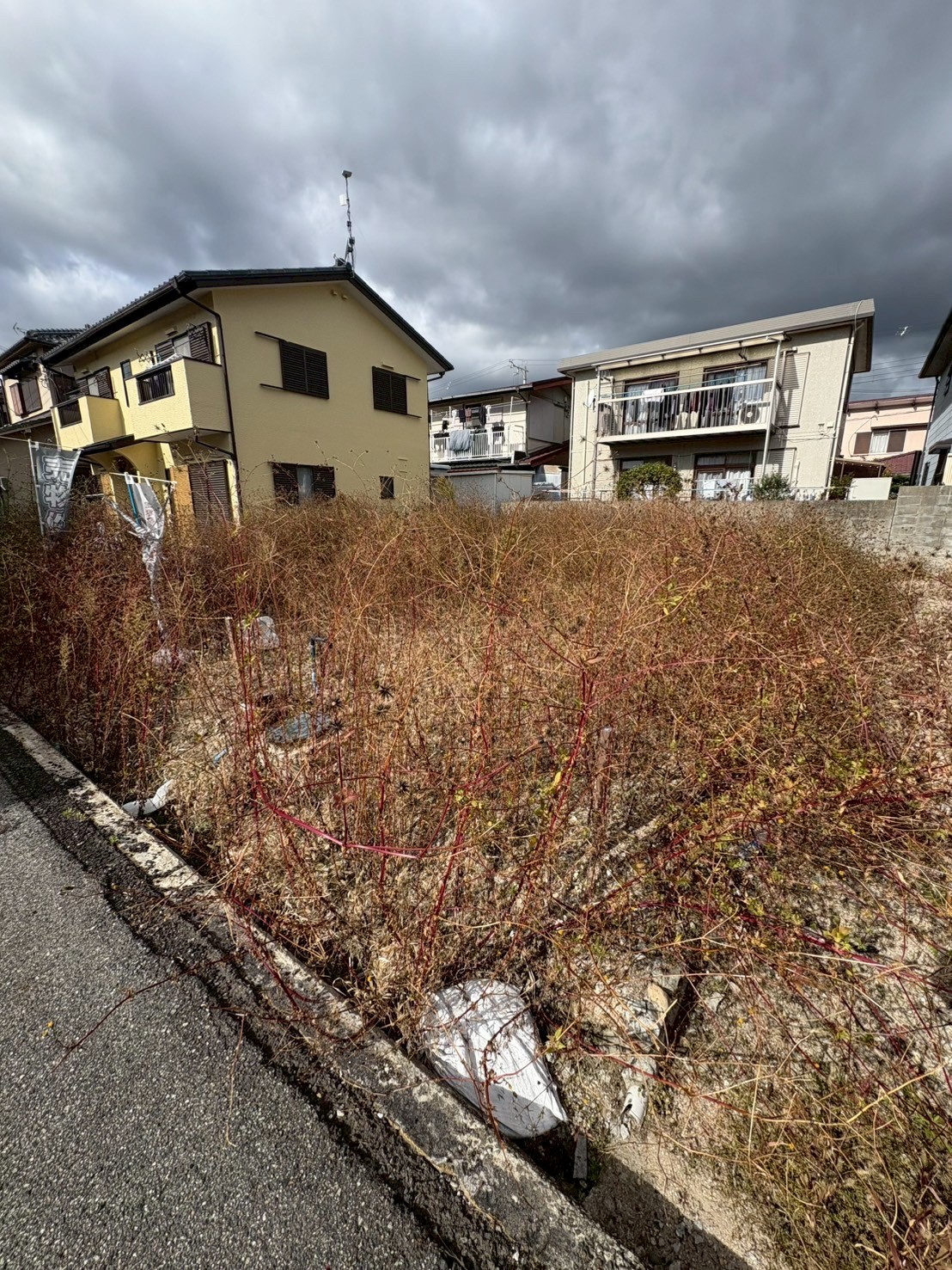 川西市 空き地 草刈り：ENISIA兵庫店の空き地 草刈りレポート
