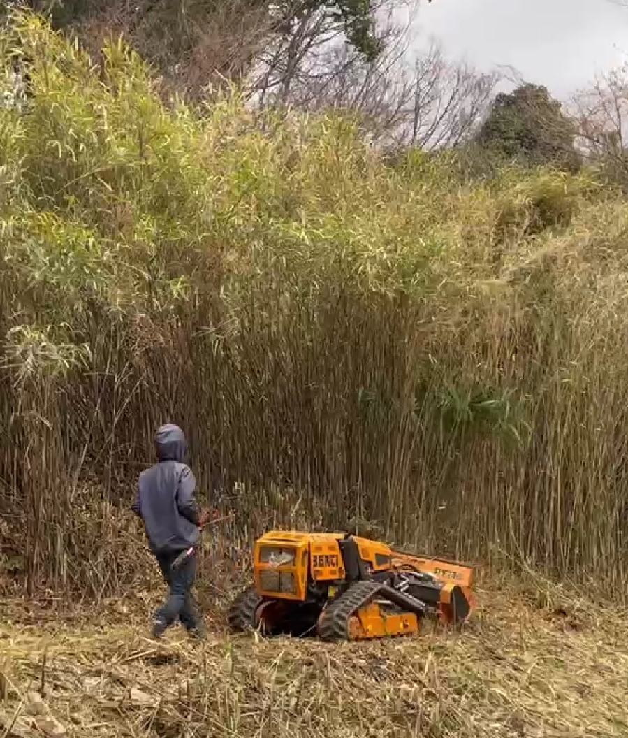 岸和田市 草刈 除草：株式会社ENISIAの草刈 除草作業レポート