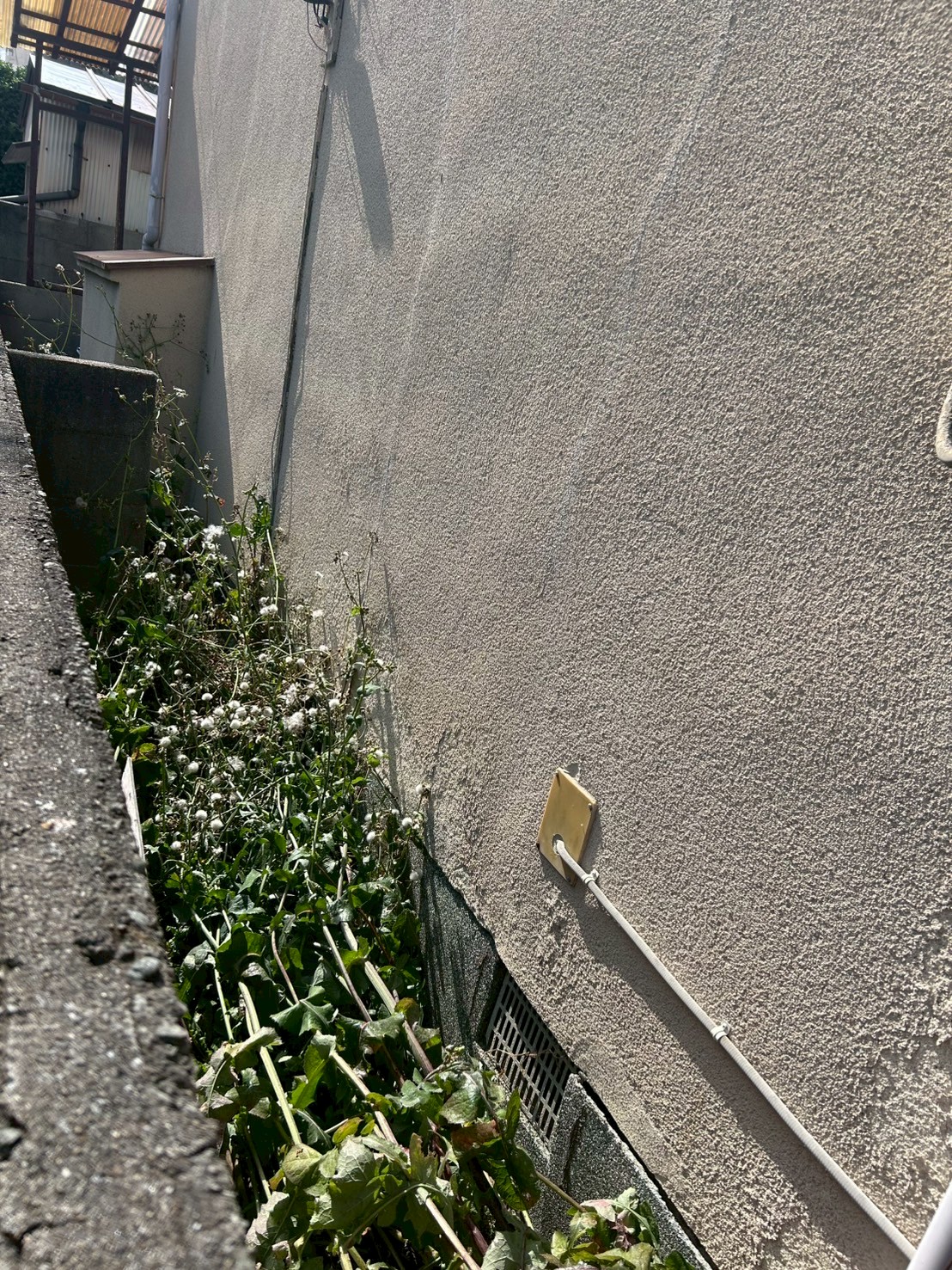 加古川市 草刈り 草抜き：ENISIA兵庫店の草刈り 草抜きレポート