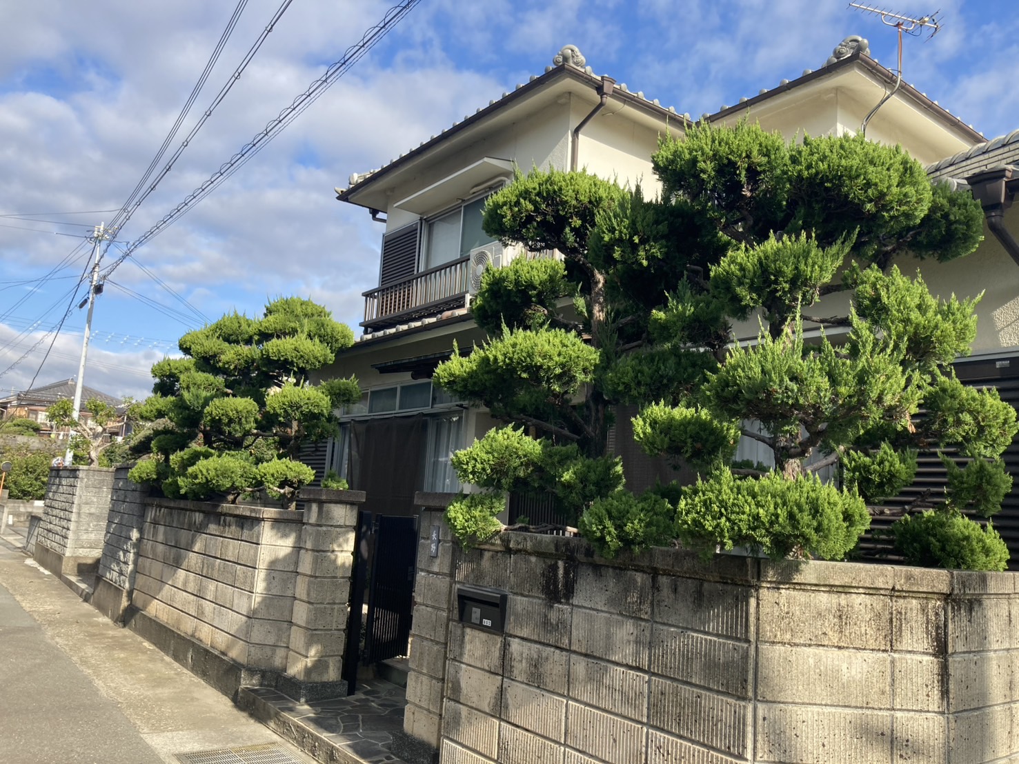 神戸市 剪定：ENISIA兵庫店の剪定レポート