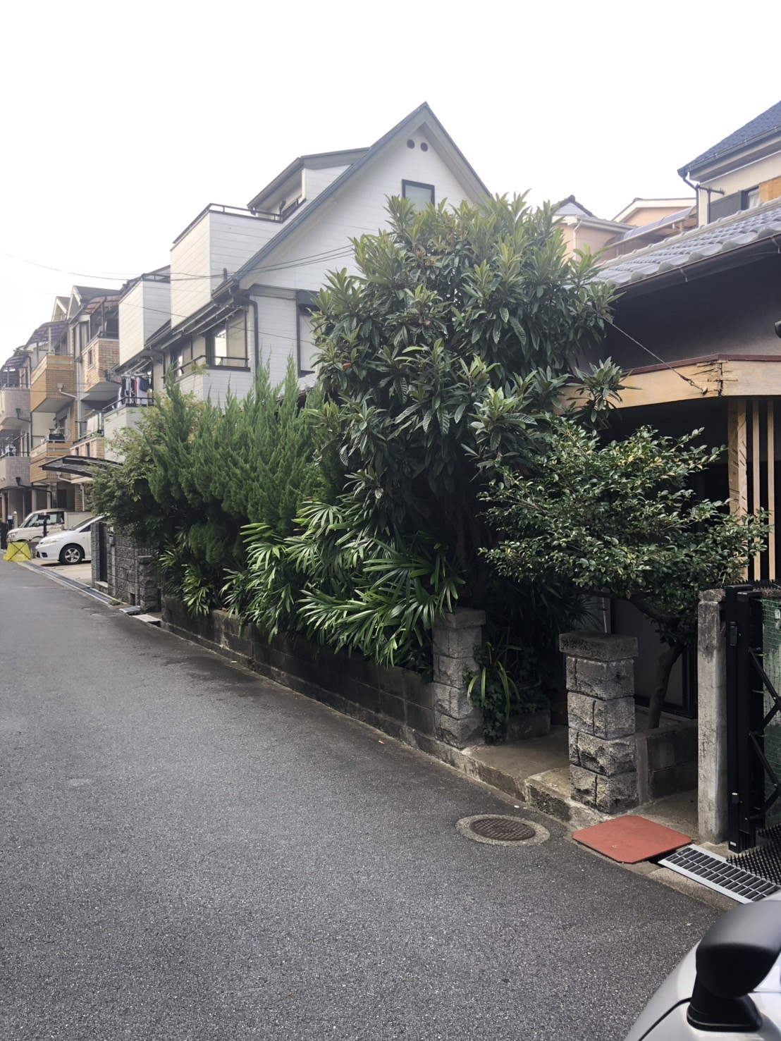 大東市 剪定：株式会社ENISIAの剪定作業レポート