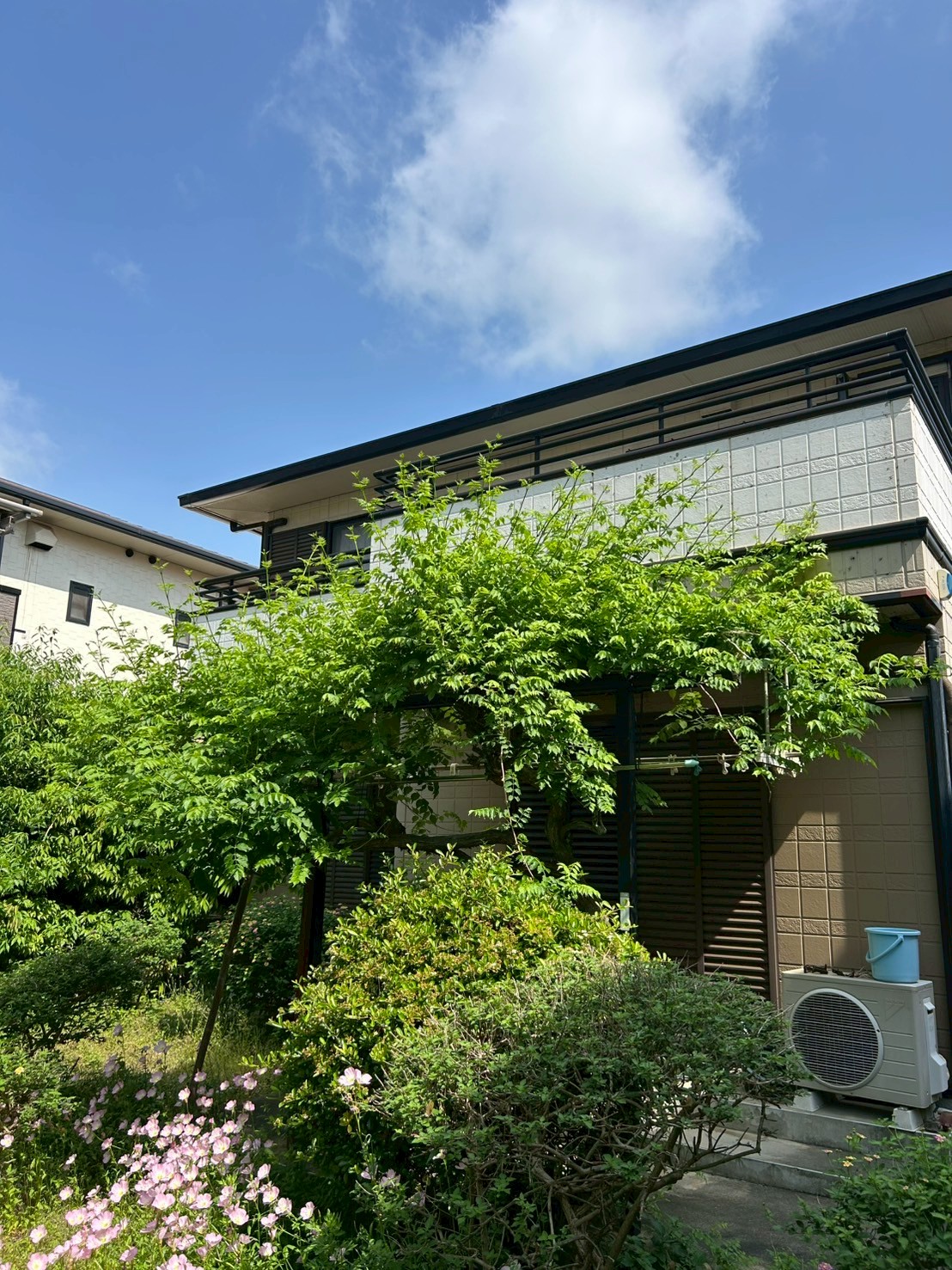川西市 草刈り 藤棚除去：ENISIA兵庫店の草刈り 藤棚除去レポート