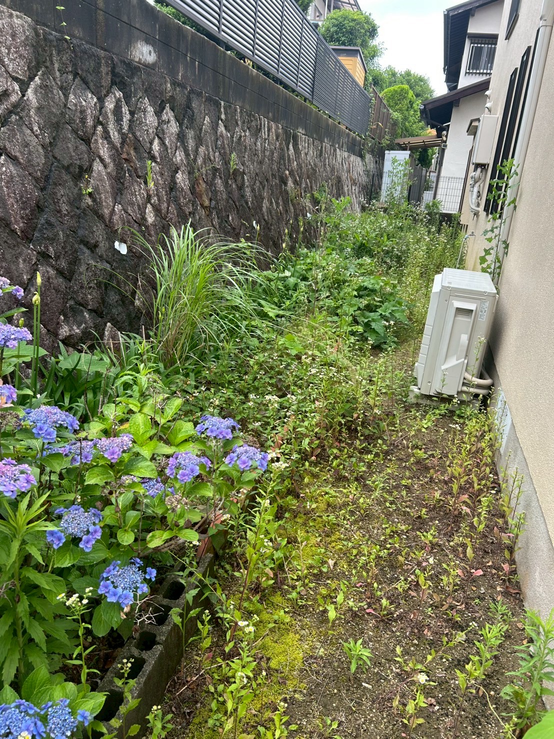三田市 除草：ENISIA兵庫店の除草レポート