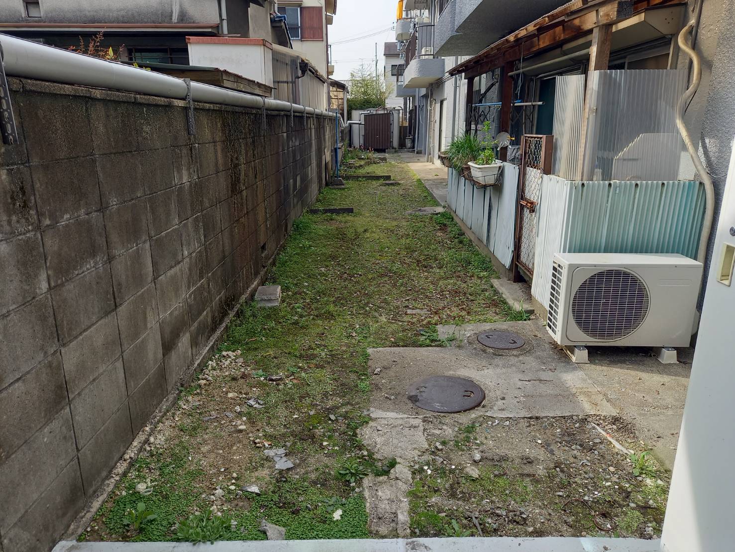 大阪市 除草：株式会社ENISIAの除草作業レポート