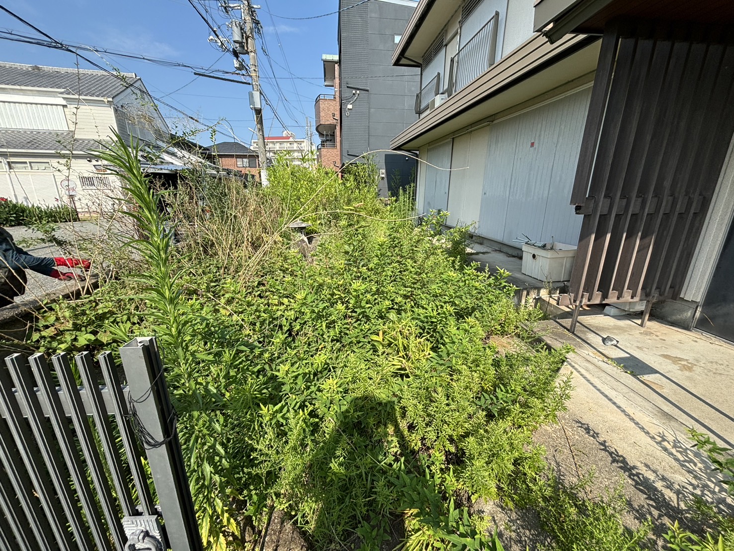 大阪市 草刈 防草シート：株式会社ENISIAの草刈 防草シート作業レポート