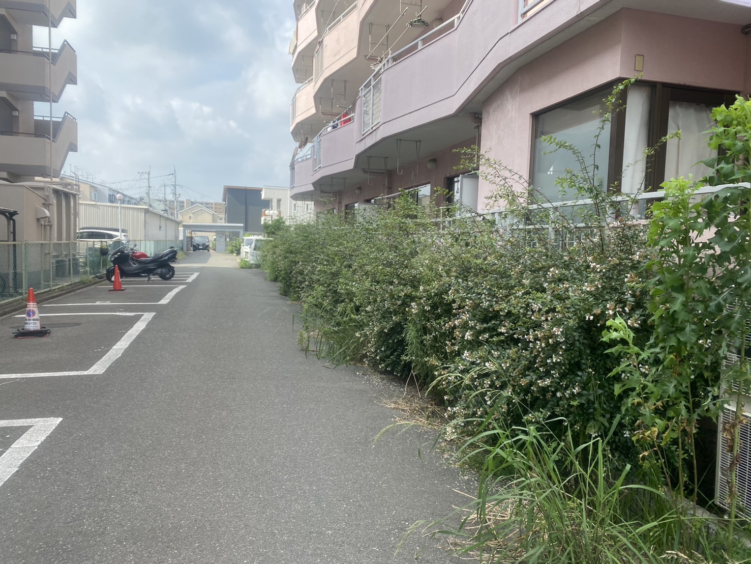 大阪市 駐車場内 剪定 除草：株式会社ENISIAの駐車場内 剪定 除草作業レポート