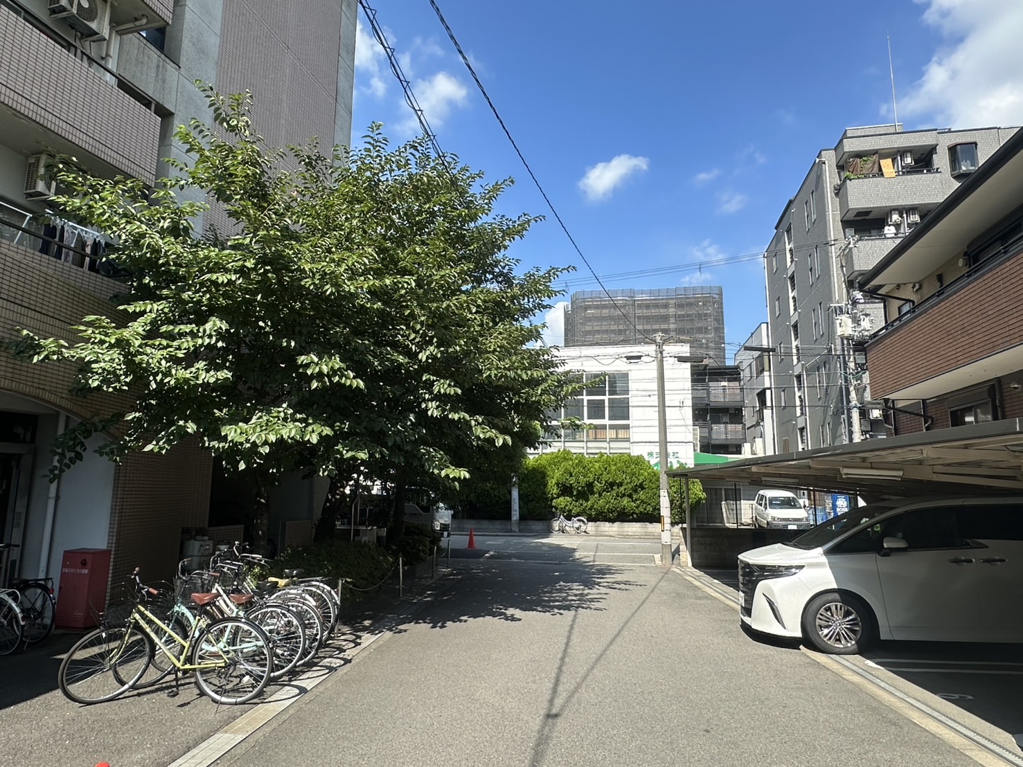 大阪市 剪定：株式会社ENISIAの剪定作業レポート