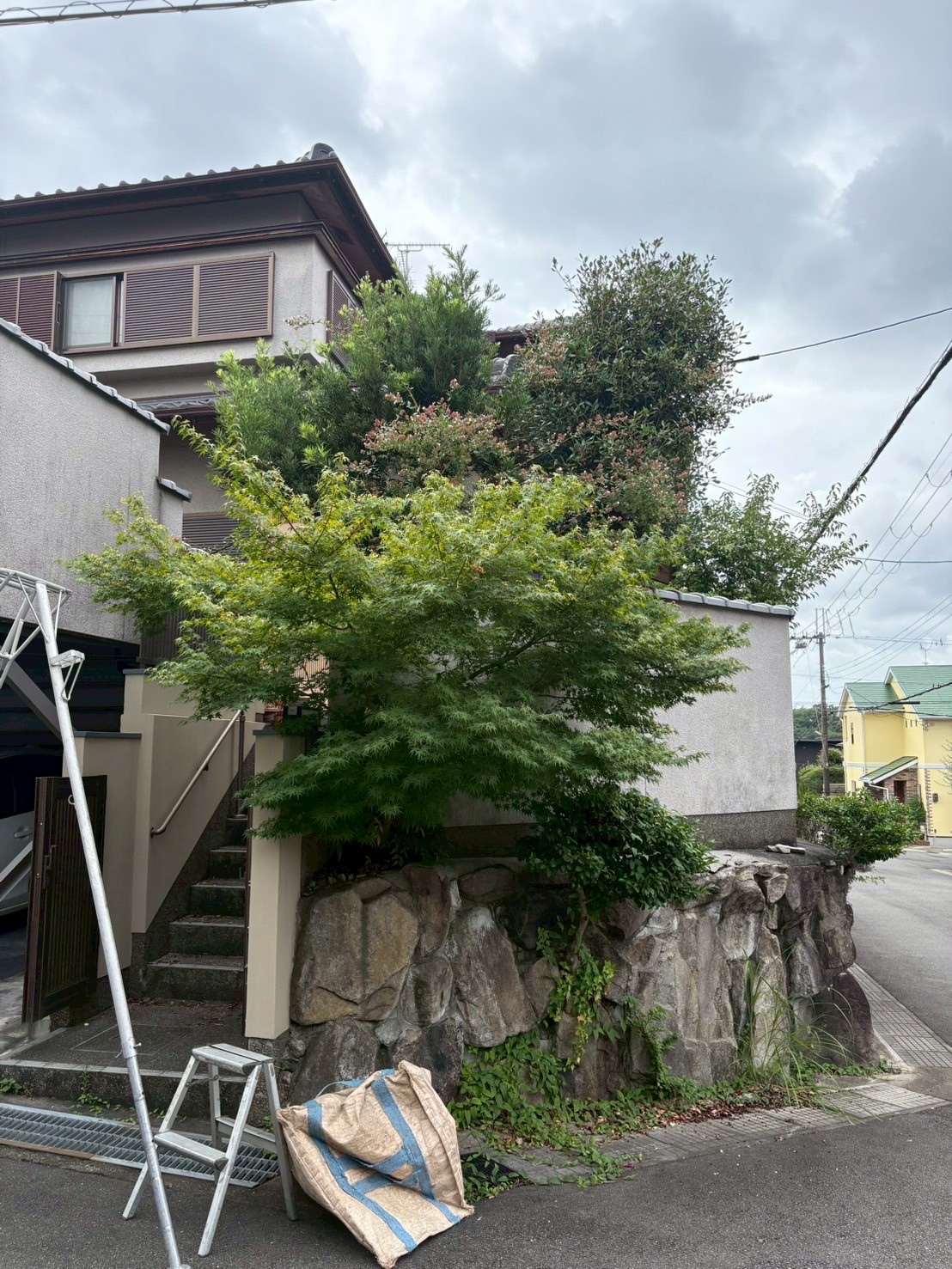 西宮市 剪定：ENISIA兵庫店の剪定レポート