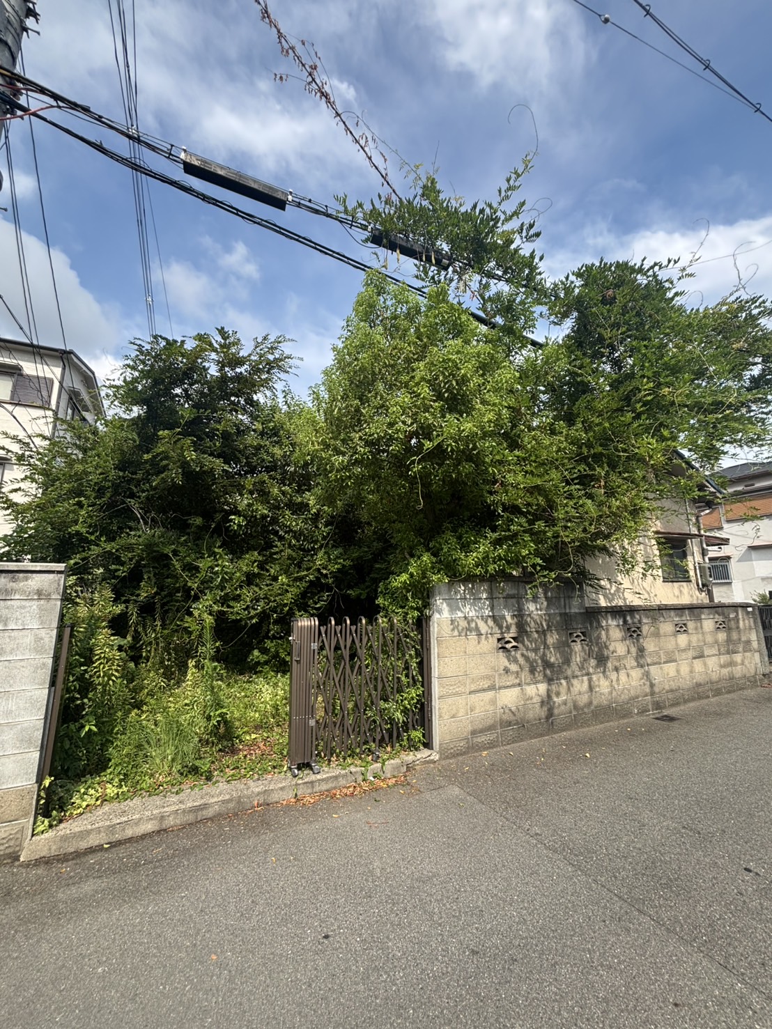 大阪市 草刈り 蔦取 伐採：株式会社ENISIAの草刈り 蔦取 伐採作業レポート