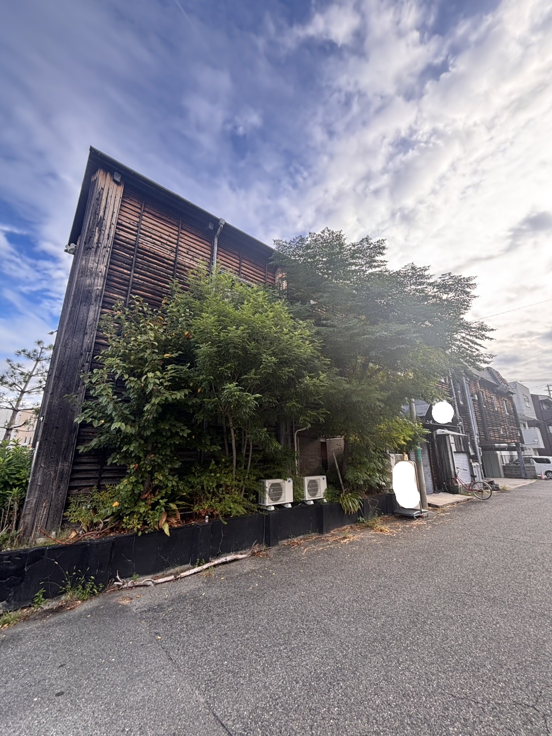 大阪 伐採：株式会社ENISIAの伐採作業レポート