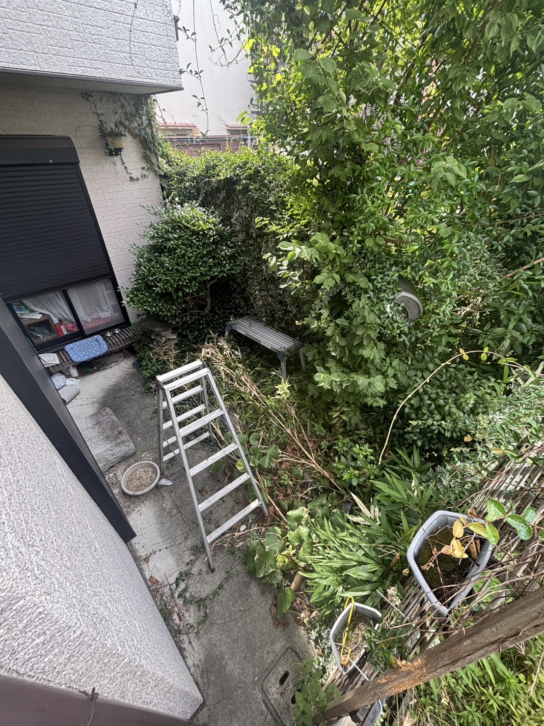 大阪市 庭手入れ：株式会社ENISIAの庭手入れ作業レポート