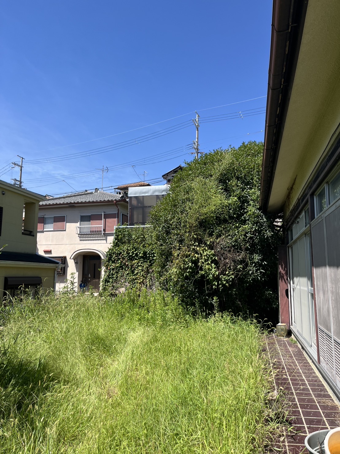 茨木市 草刈り 剪定:株式会社ENISIAの草刈り 剪定作業レポート