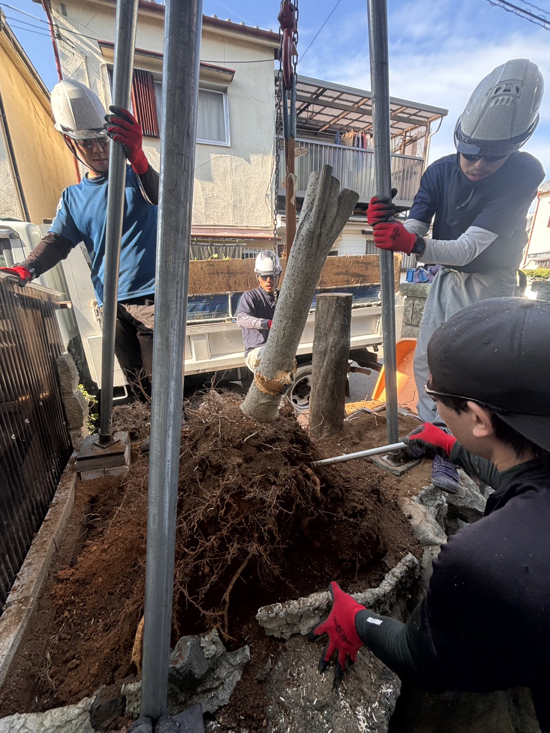 大阪市 抜根：株式会社ENISIAの抜根作業レポート