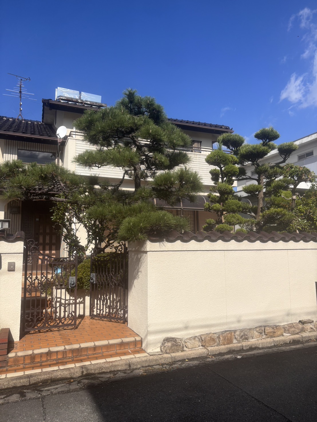 大阪市 伐採：株式会社ENISIAの伐採作業レポート