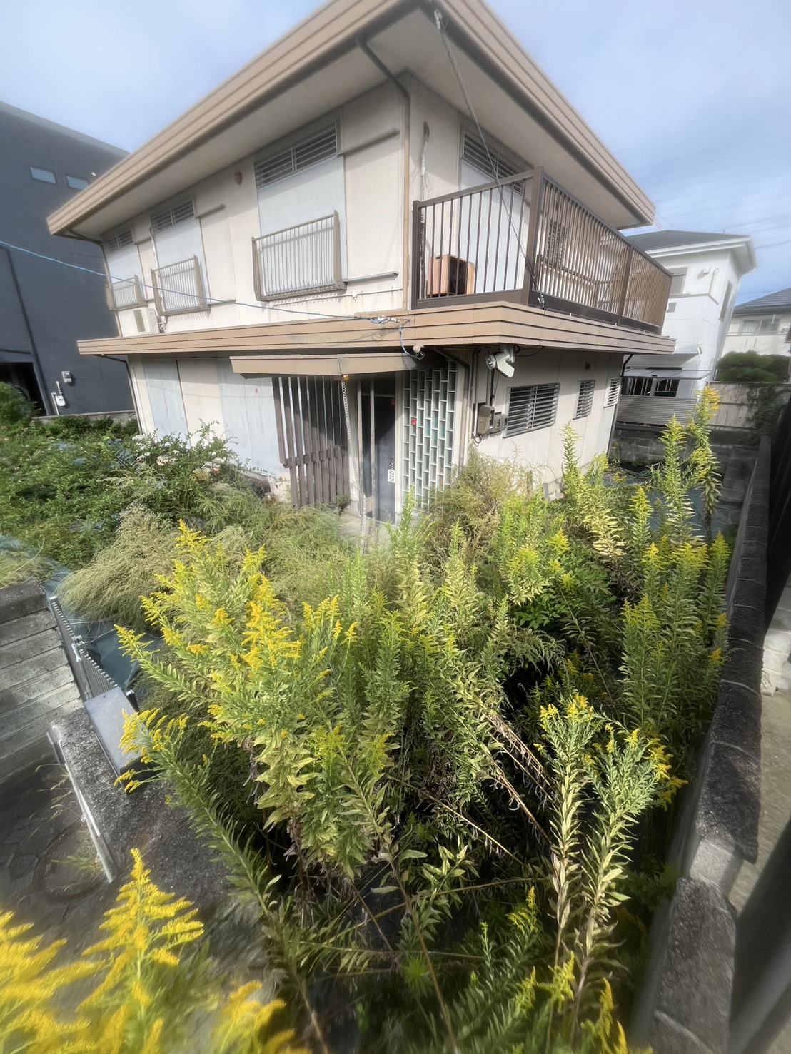 大阪市 草抜き：株式会社ENISIAの草抜き作業レポート