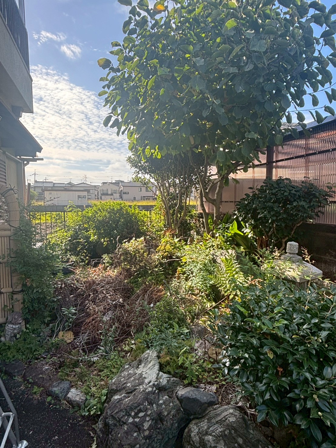 宇治市 空き家 伐採 草刈り：ENISIA京都店の空き家 伐採 草刈りレポート