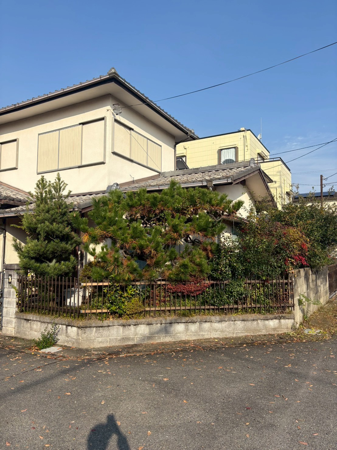 亀岡市 剪定：ENISIA京都店の剪定レポート