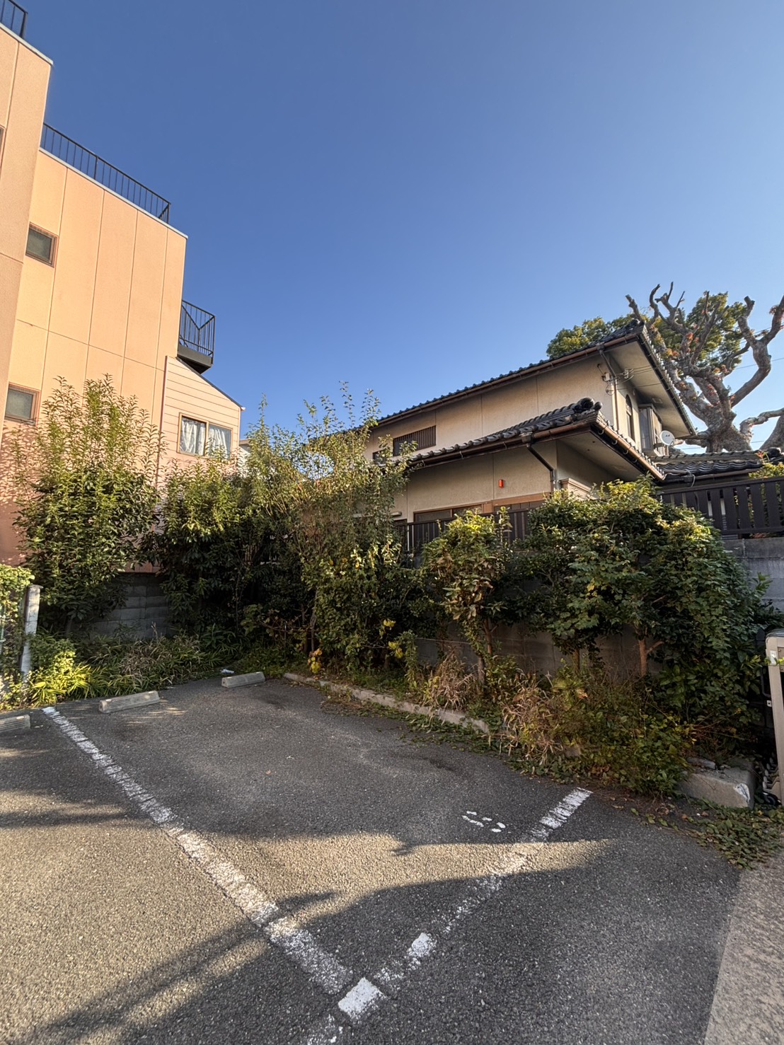 大阪市 剪定 除草：株式会社ENISIAの剪定 除草作業レポート