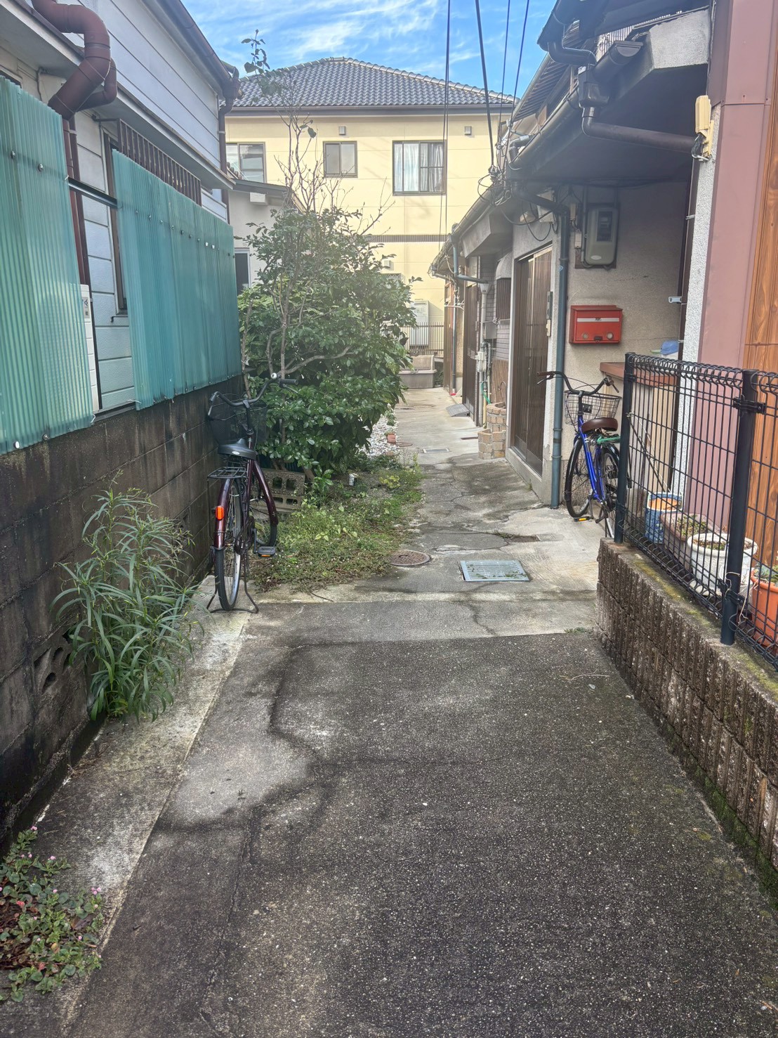 京都市 伐採 除草：ENISIA京都店の伐採 除草レポート