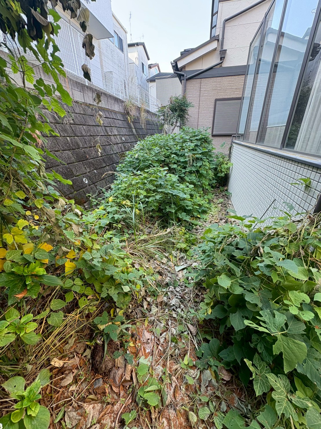 八幡市 草刈り 防草シート：ENISIA京都店の草刈り 防草シートレポート