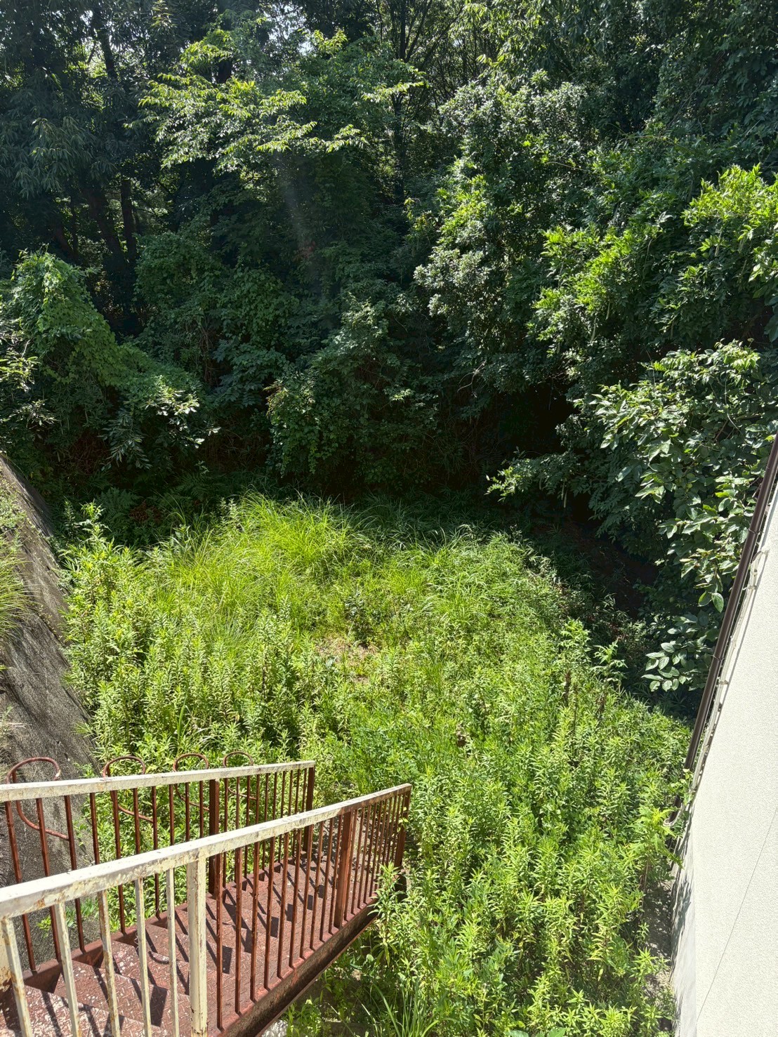 西宮市 草刈り：ENISIA兵庫店の草刈りレポート