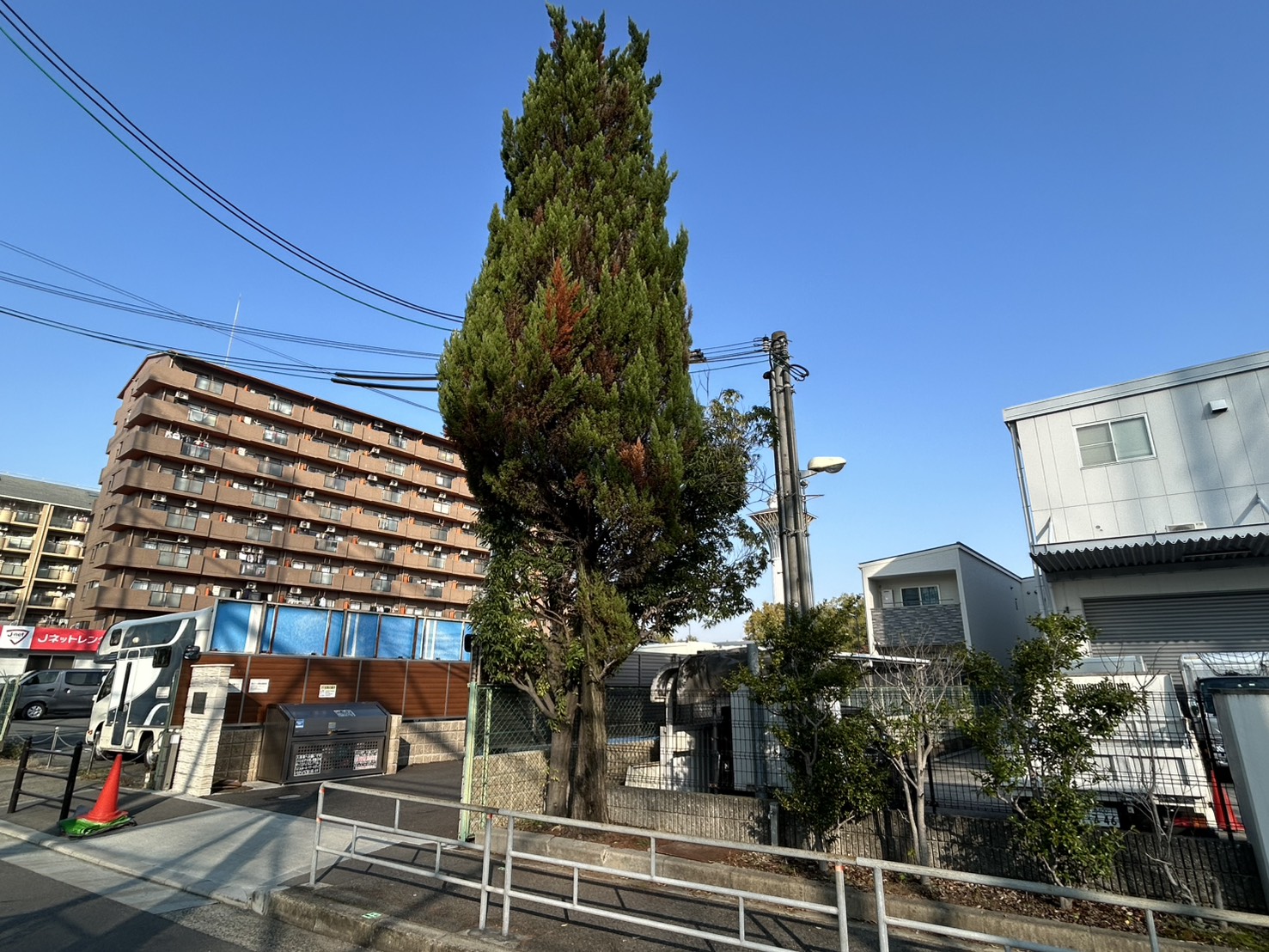 大阪市 高木伐採：株式会社ENISIAの高木伐採作業レポート