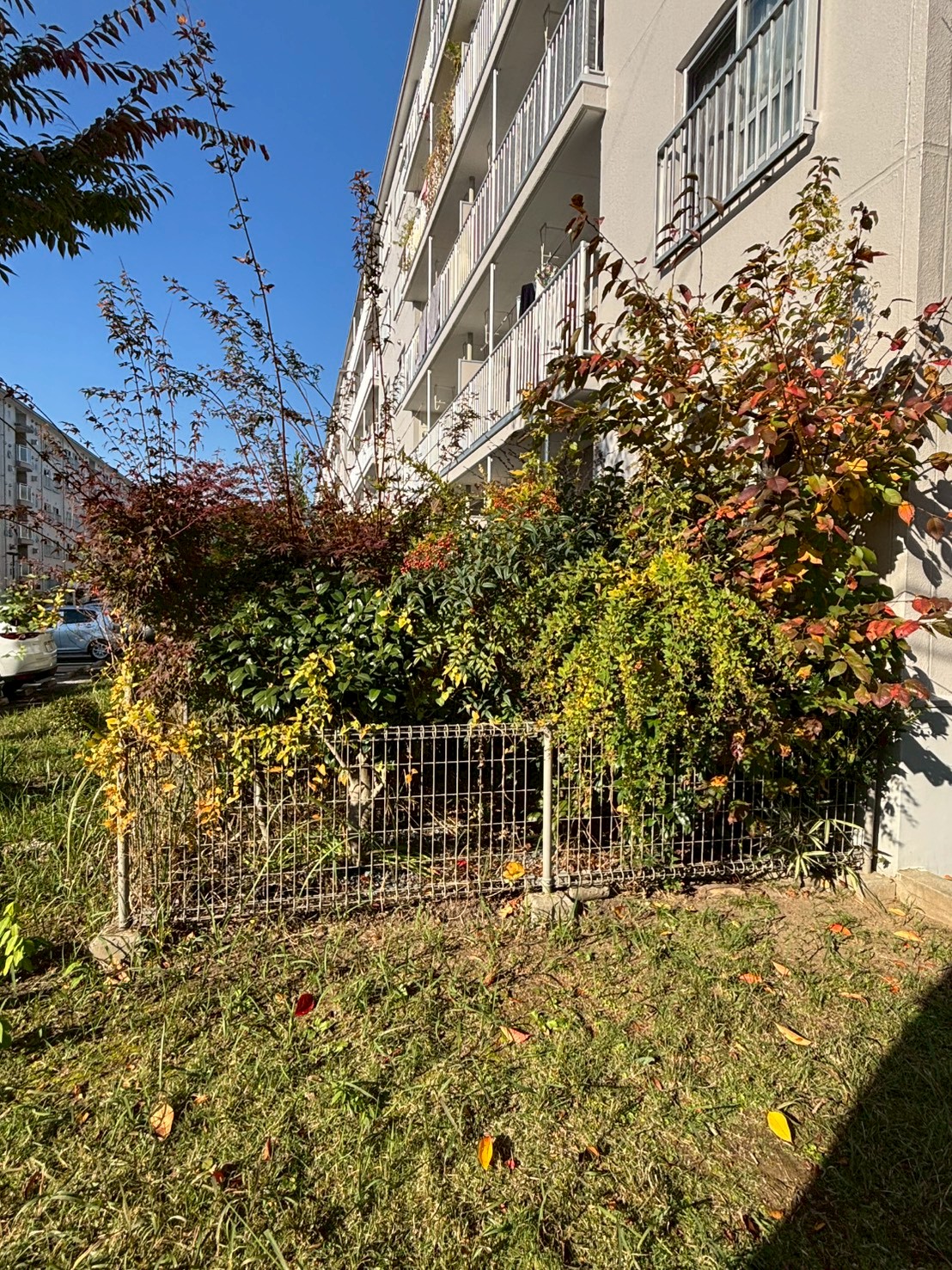 長岡京市 伐採 除草：ENISIA京都店の伐採 除草レポート