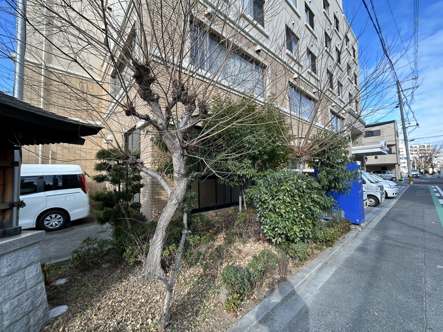 大阪市 剪定：株式会社ENISIAの剪定作業レポート