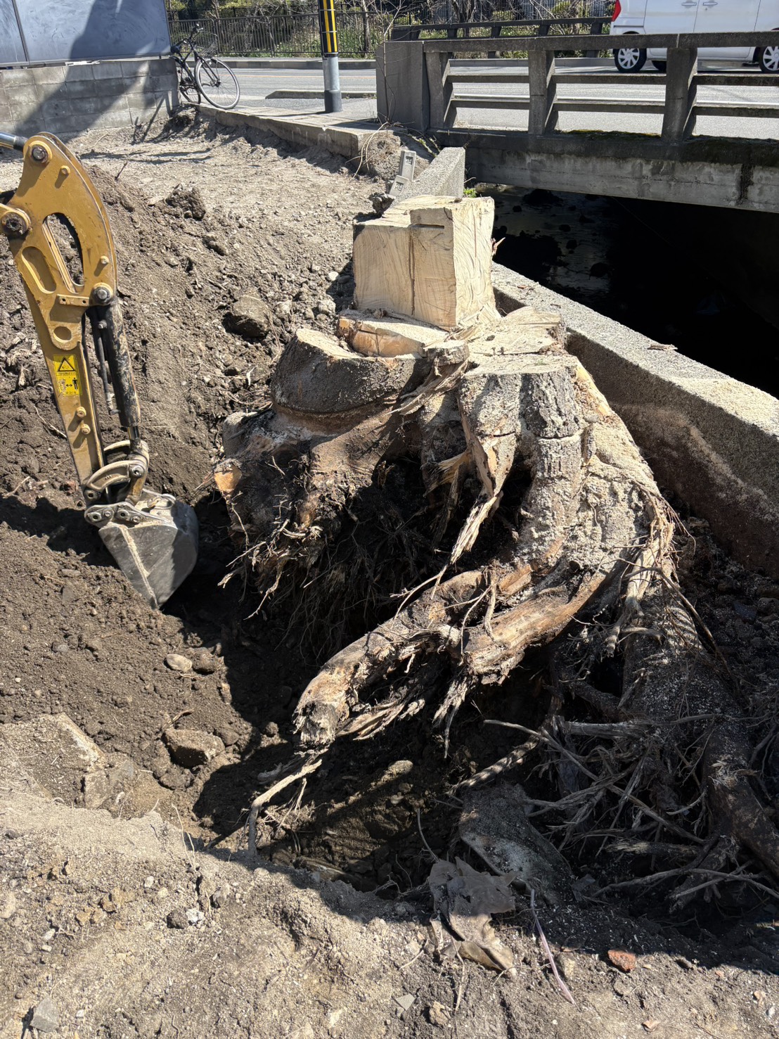 京都市 抜根：ENISIA京都店の抜根レポート