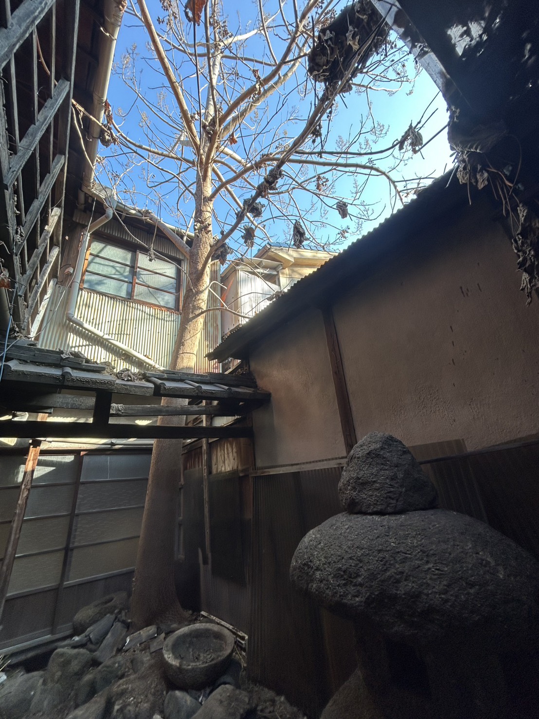 大阪市 特殊伐採：株式会社ENISIAの特殊伐採作業レポート