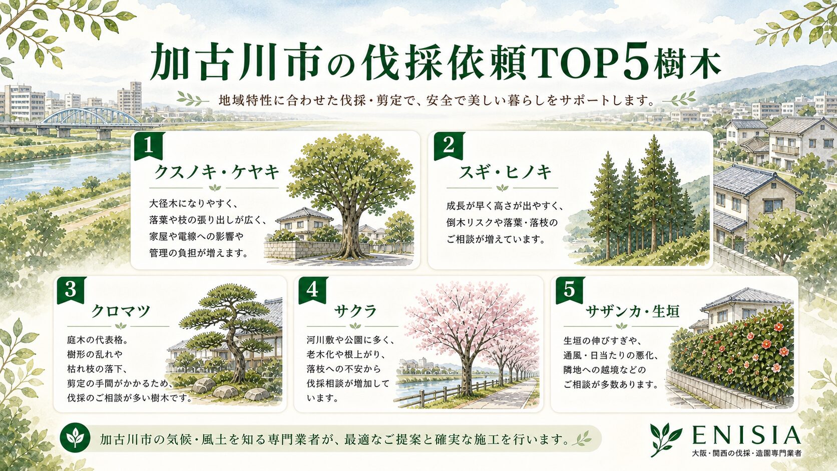加古川市の伐採依頼TOP5樹木