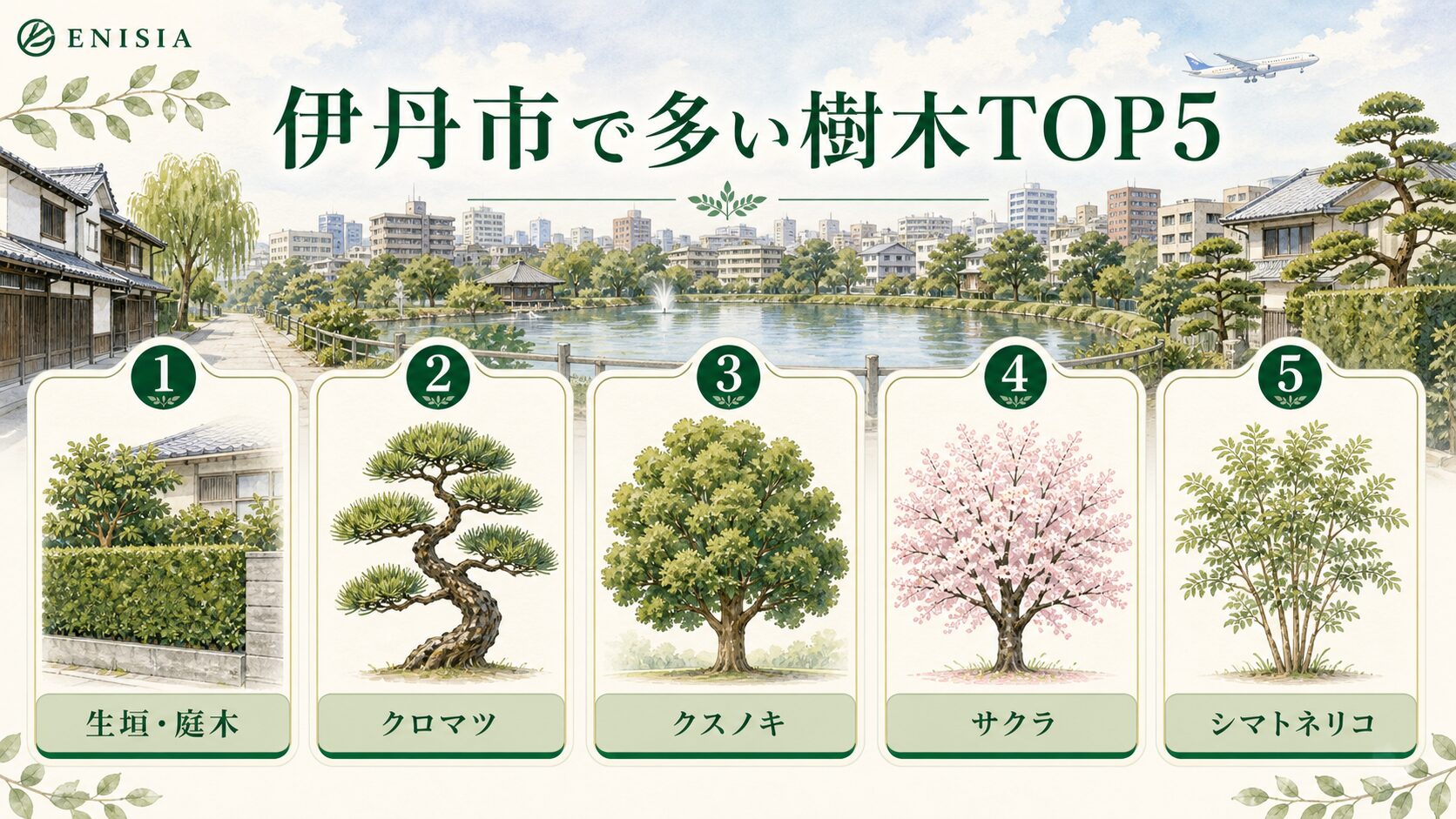 伊丹市で伐採依頼が多い樹木TOP5