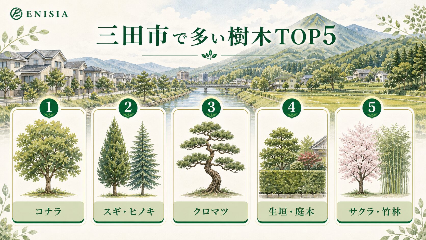 三田市で伐採依頼が多い樹木TOP5