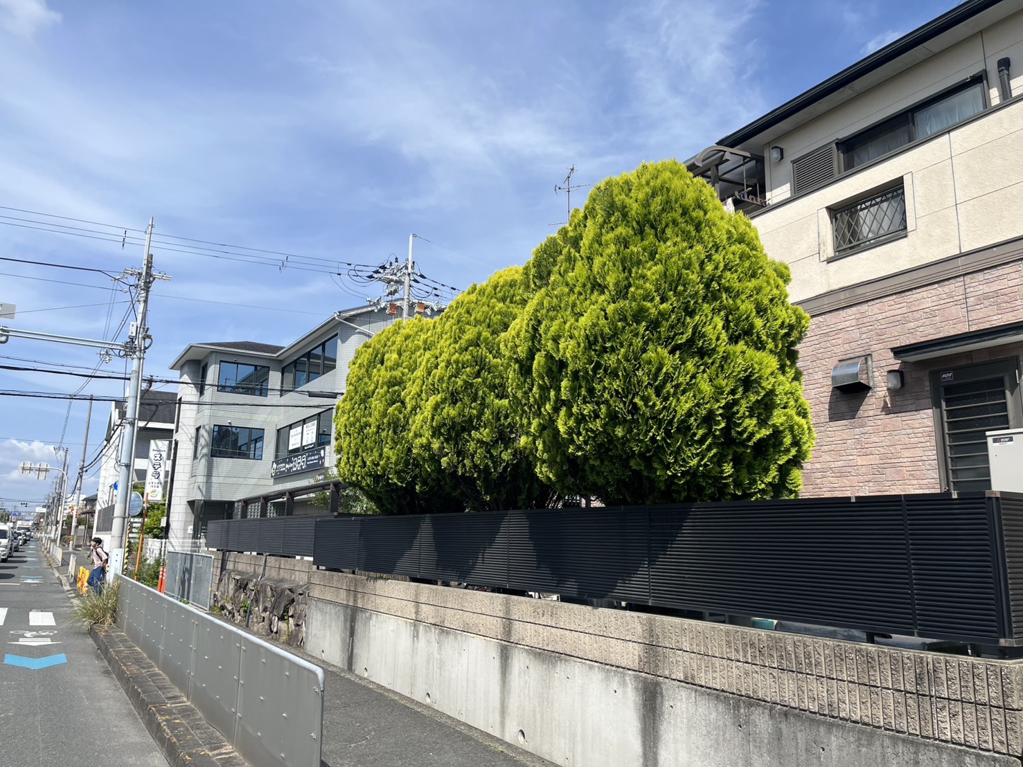 枚方市 剪定：株式会社ENISIAの剪定作業レポート