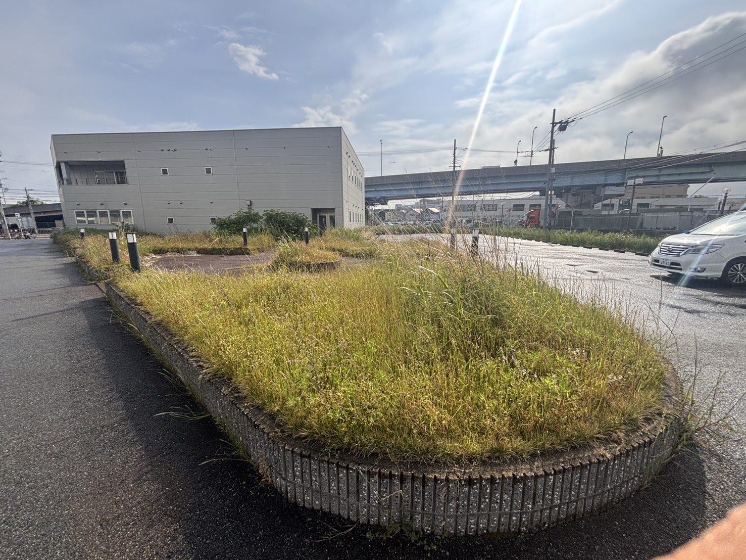 堺市 草刈り 除草剤散布：株式会社ENISIAの草刈り 除草剤散布作業レポート