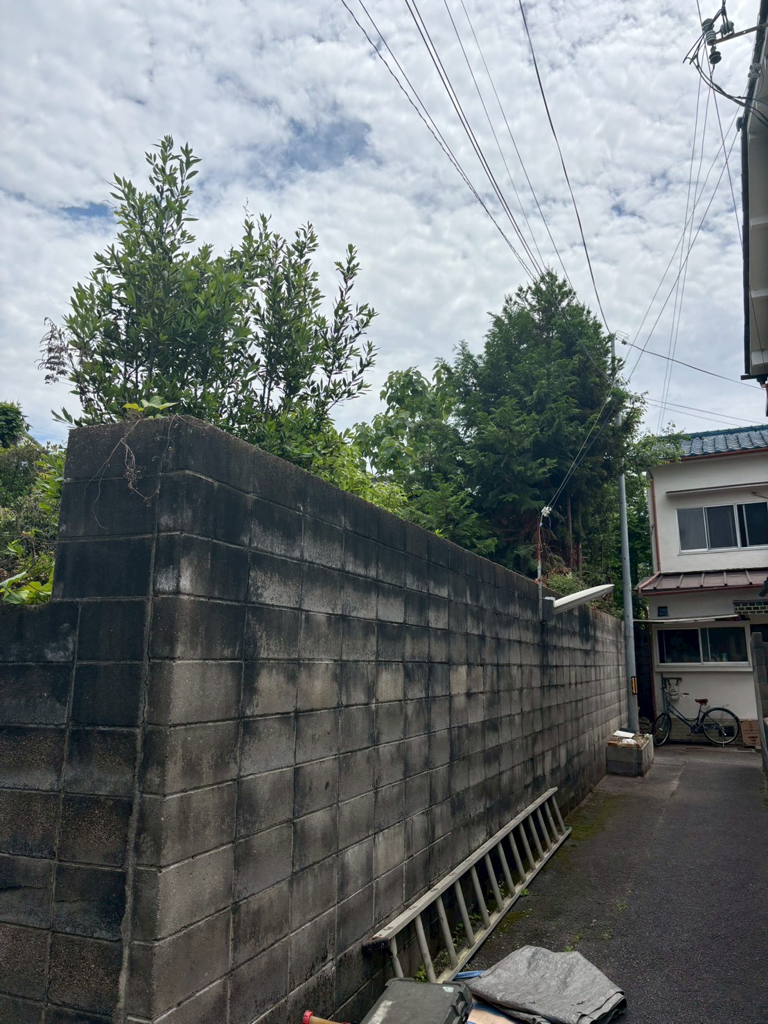 長岡京市 伐採：ENISIA京都店の伐採レポート