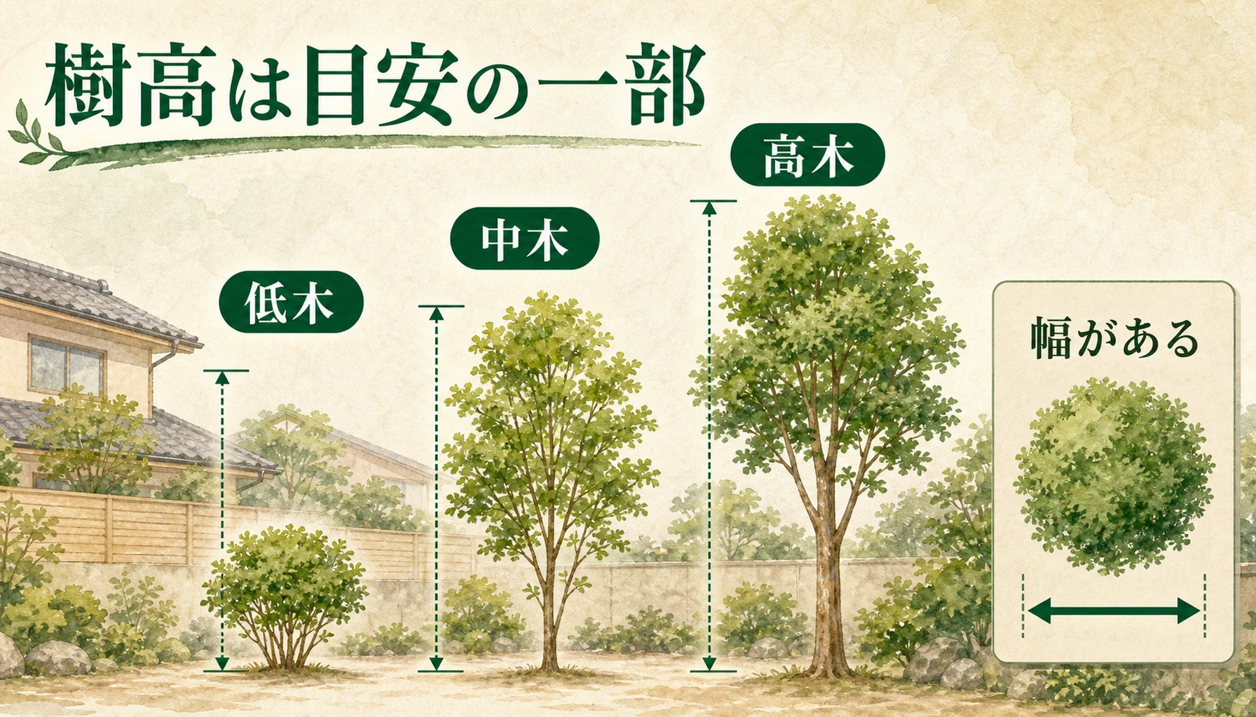 伐採費用の樹高別相場は低木、中木、高木で幅があることを示す図
