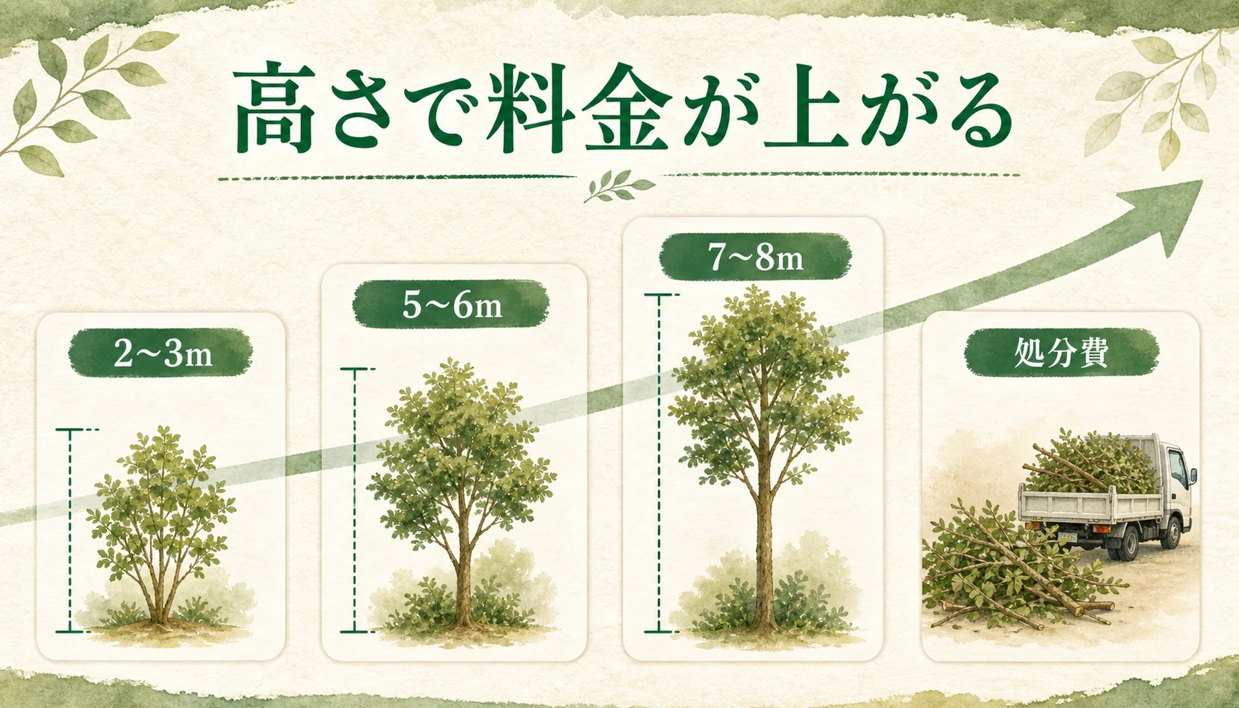 高くなりすぎた木の剪定料金が高さで変わる説明